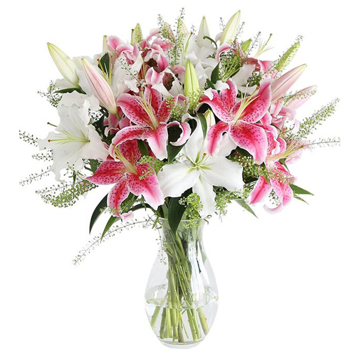 Delivery Dozen of Pink & White Lilies in Vase to Manila Philippines