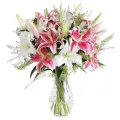 buy lilies flowers to manila, lilies flowers to philippines