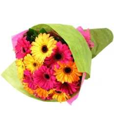 send 12 pcs. mixed color gerberas in bouquet to manila