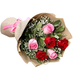 send half dozen red and pink ecuadorian roses to manila