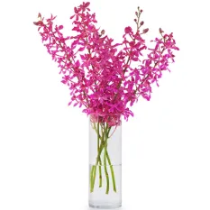 send one dozen pink sprayed orchids in a vase to manila