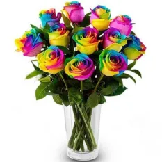 send 12 rainbow roses in glass vase to manila