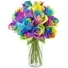 send 1 dozen rainbow roses in glass vase to manila