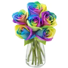 send half dozen rainbow roses in glass vase to manila