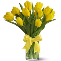 send 12 fresh yellow tulips in a glass vase to manila