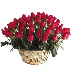 send 24 fresh red roses in basket to manila