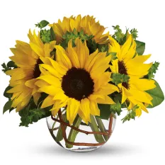 send 5 pcs sunflower In vase to manila