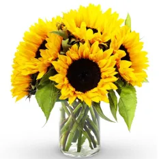 send half dozen sunflower in vase to manila