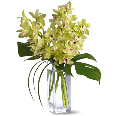 send 12 stems of white dendrobium orchids to manila