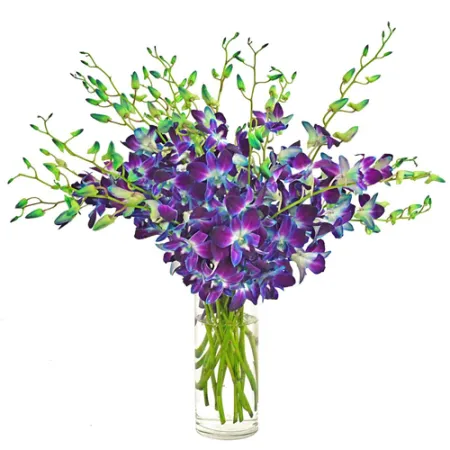 send 12 stems of purple orchids in vase to manila