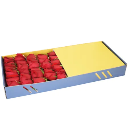 send 2 dozen red color rose in box to manila