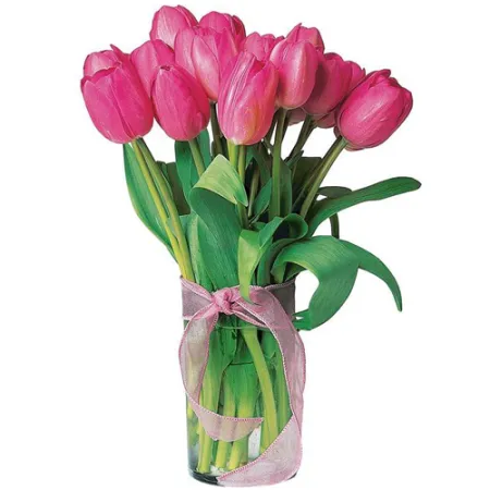 send 12 holland fresh Pink tulips in vase to manila