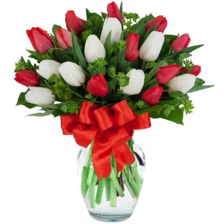 send 20 mixed red and white tulips in vase to manila