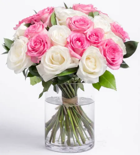 stem 24 pink and white roses vase to manila